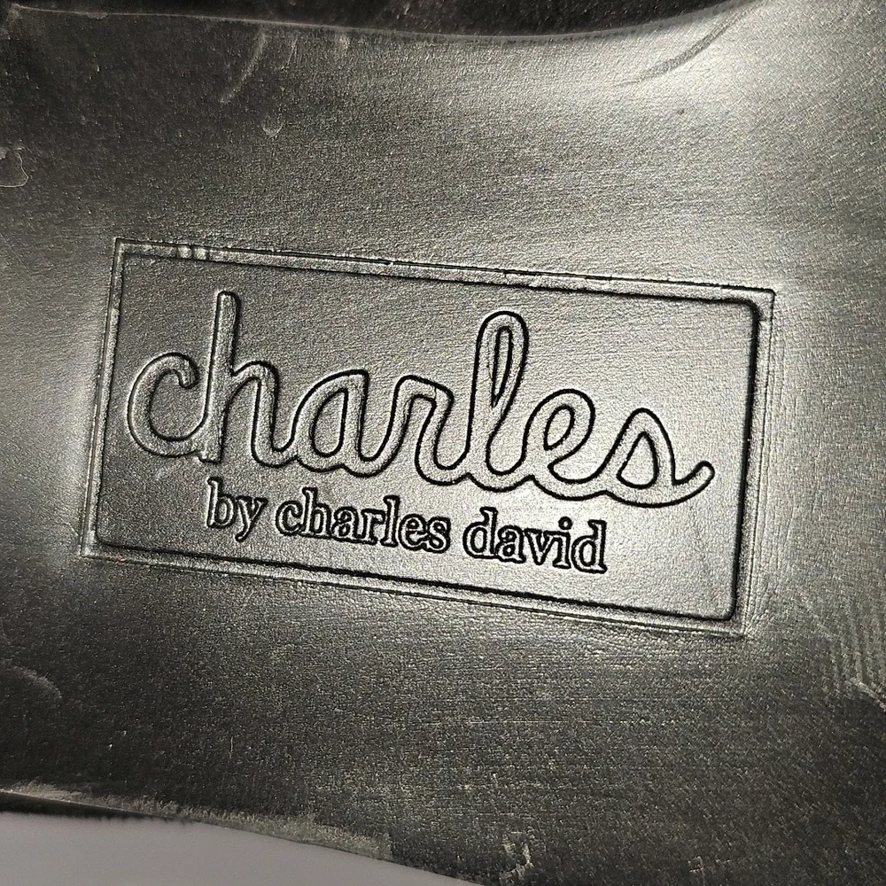 NWT Charles by Charles David Gammon Over The Knee Microsuede Boots Black Size 8